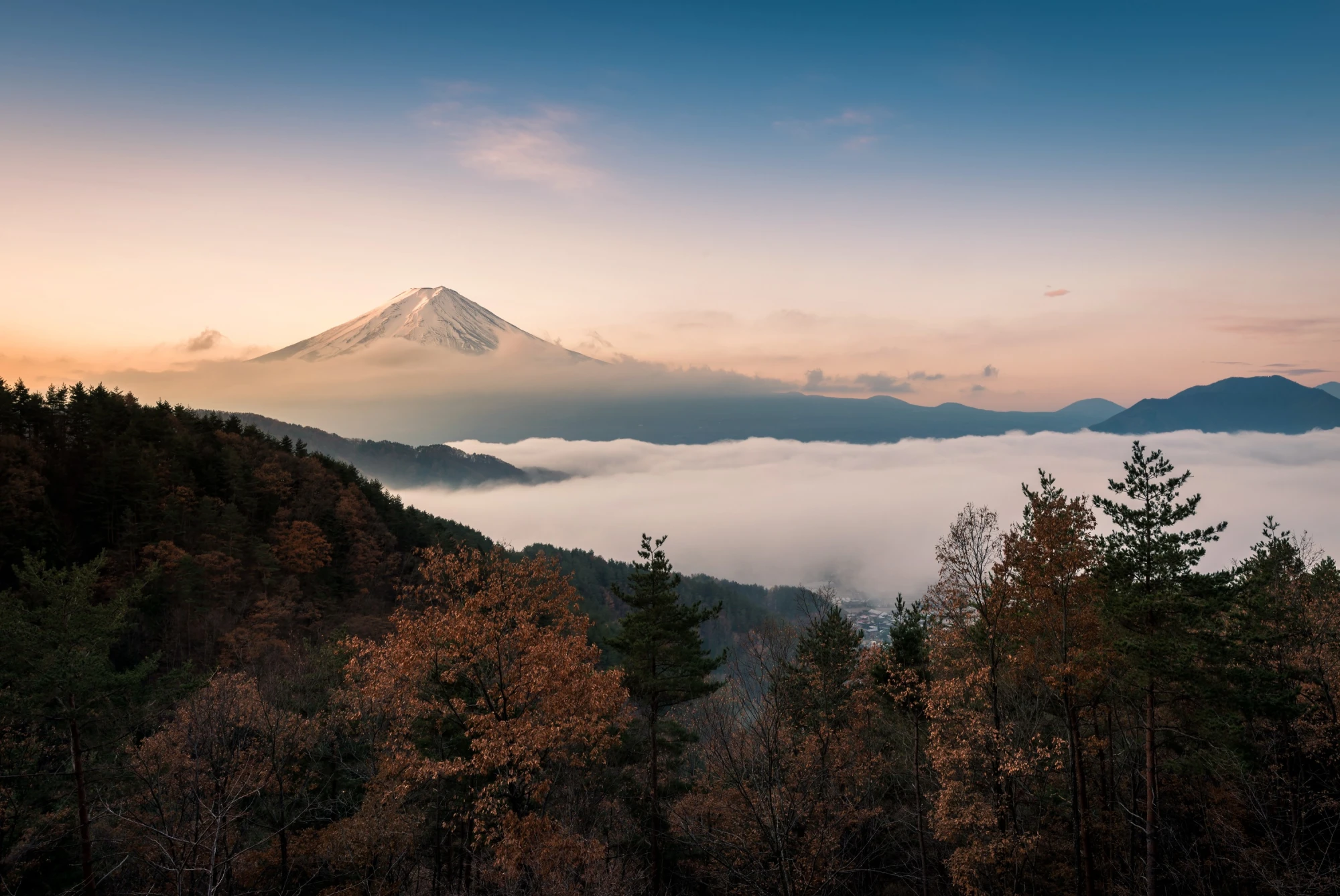 Blick auf den Berg Fuji, der &uuml;ber einer Wolkendecke in herbstlicher Waldlandschaft aufragt, mit sanften Pastellfarben des Sonnenaufgangs im Hintergrund.