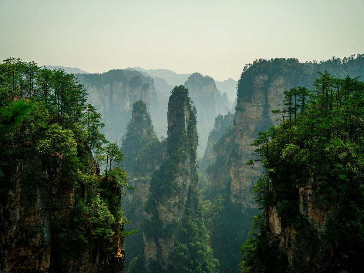 Hohe, steile Felst&uuml;rme ragen mit bewachsenen Spitzen aus einem nebligen Tal, umgeben von dichten W&auml;ldern und dramatischen Bergformationen, die an die legend&auml;ren Landschaften von Zhangjiajie in China erinnern.
