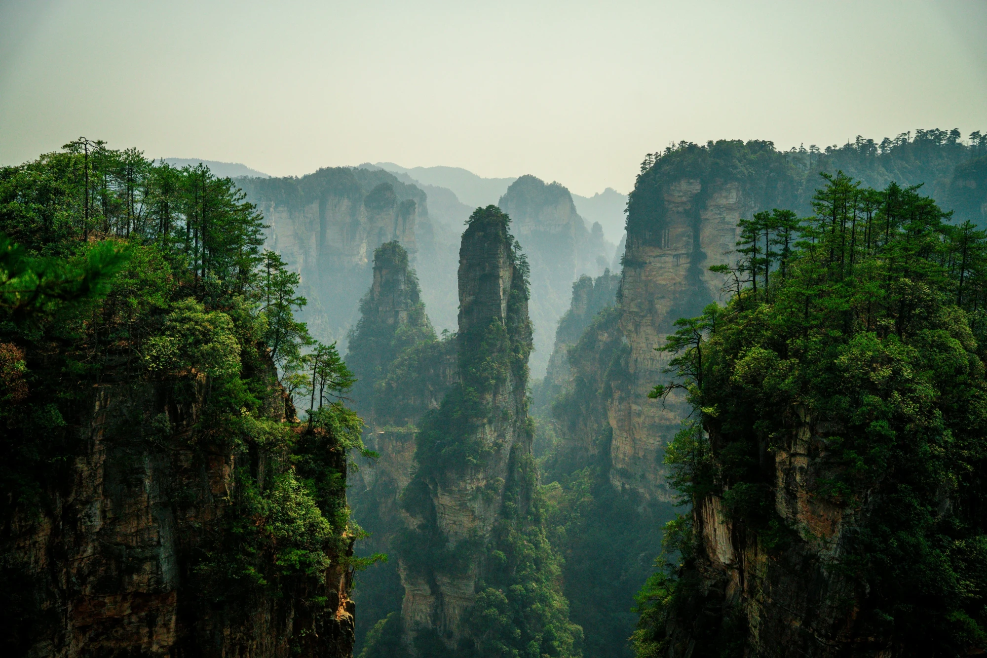Hohe, steile Felst&uuml;rme ragen mit bewachsenen Spitzen aus einem nebligen Tal, umgeben von dichten W&auml;ldern und dramatischen Bergformationen, die an die legend&auml;ren Landschaften von Zhangjiajie in China erinnern.
