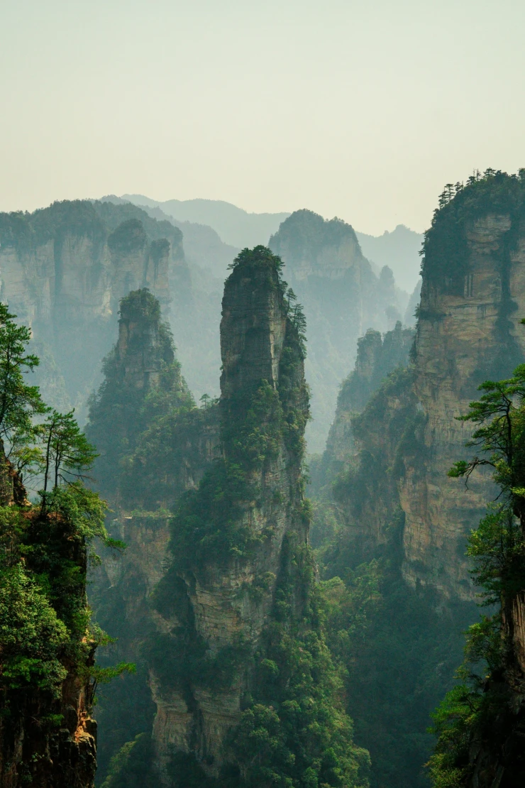 Hohe, steile Felst&uuml;rme ragen mit bewachsenen Spitzen aus einem nebligen Tal, umgeben von dichten W&auml;ldern und dramatischen Bergformationen, die an die legend&auml;ren Landschaften von Zhangjiajie in China erinnern.