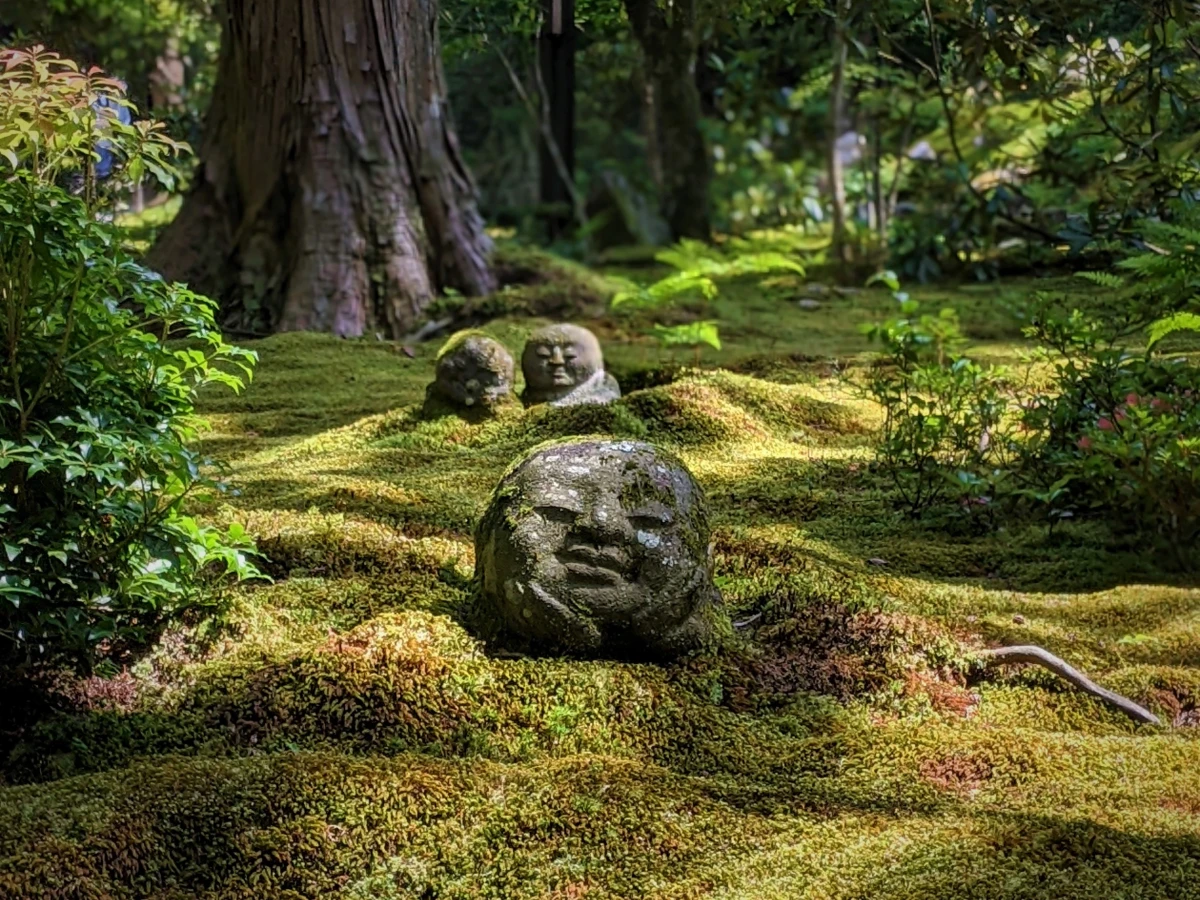 Mossbewachsene Steink&ouml;pfe ruhen auf einem &uuml;ppigen, gr&uuml;nen Moosteppich in einem dichten Waldgarten, umgeben von alten B&auml;umen und &uuml;ppiger Vegetation, was eine ruhige und mystische japanische Gartenatmosph&auml;re vermittelt.